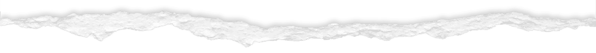 blog-transition-bottom
